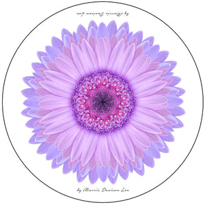 Daisy Umbrella - Purple